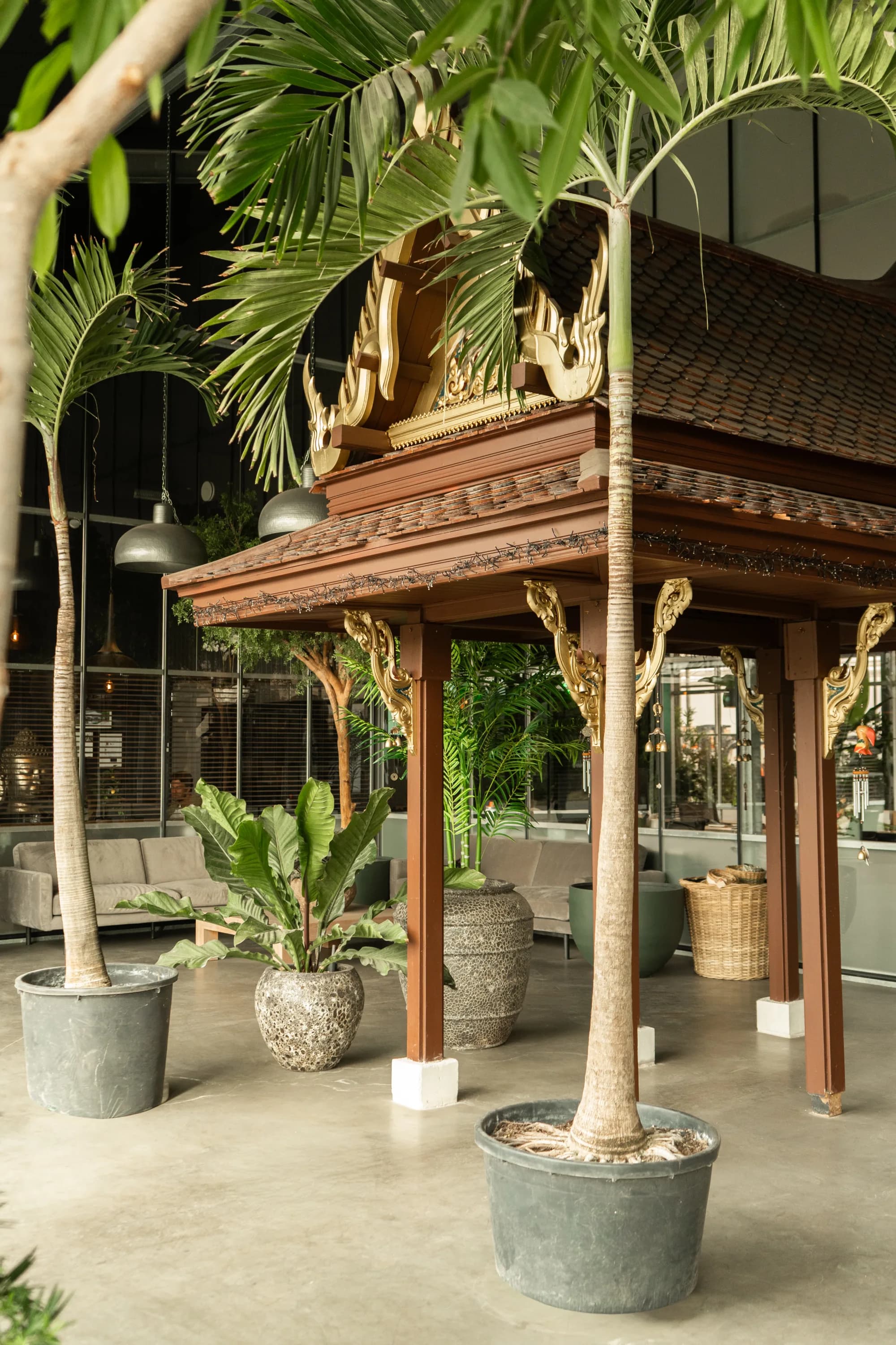 Florafy showroom in Naaldwijk
