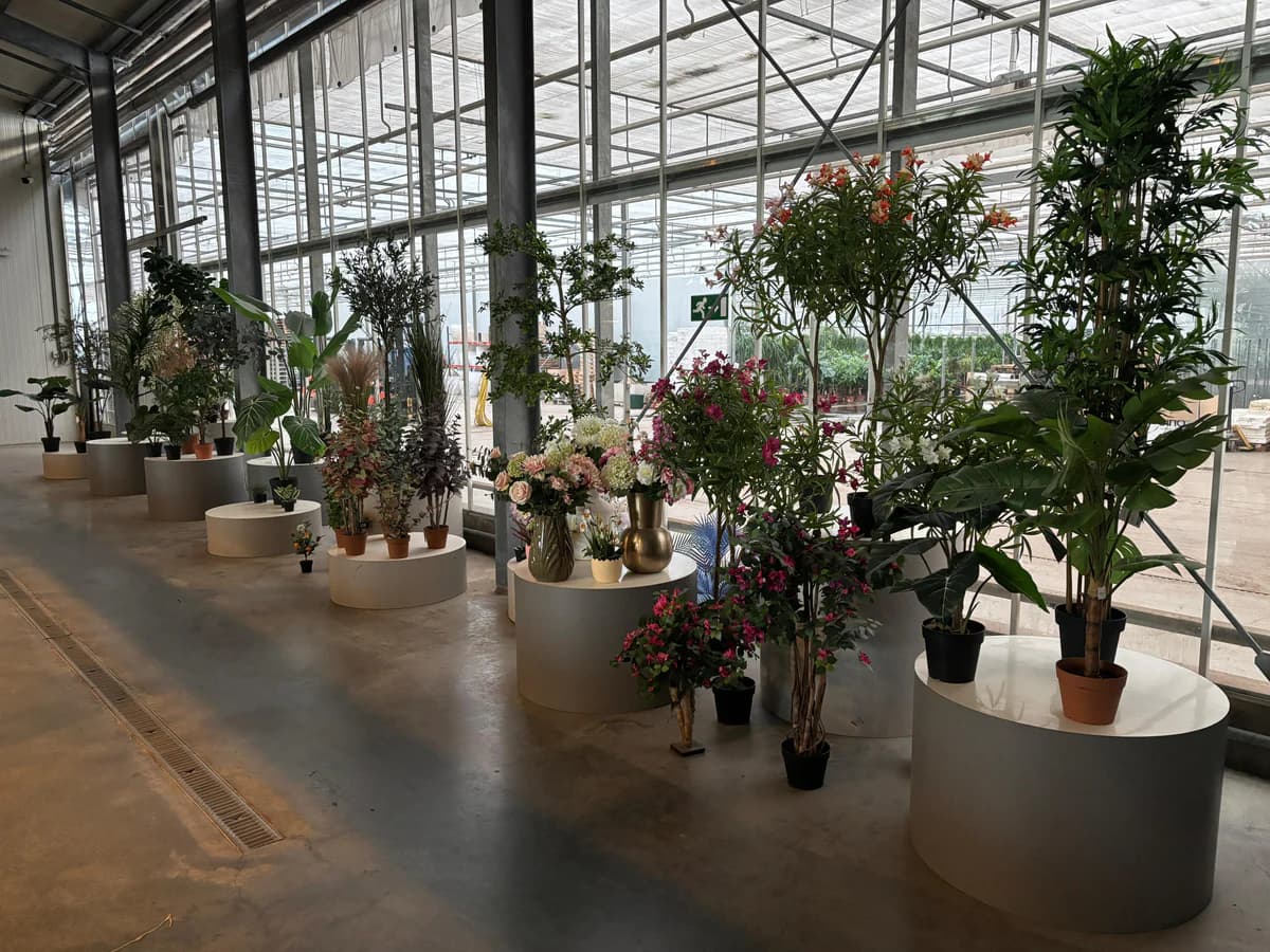 Florafy showroom in Naaldwijk
