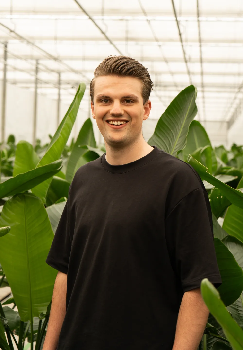 Dave Koene
