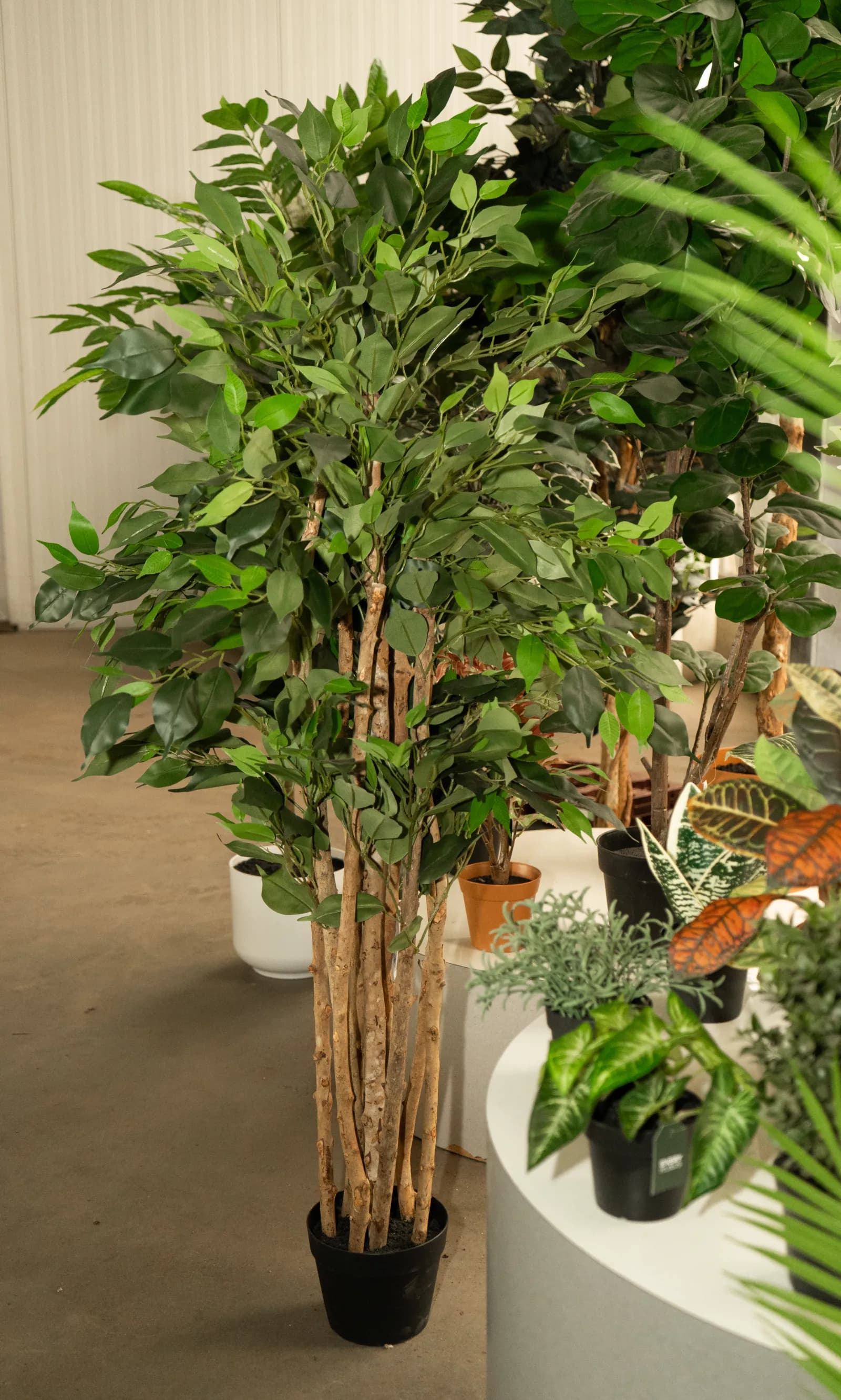 Florafy warehouse in Naaldwijk with artificial plants in stock